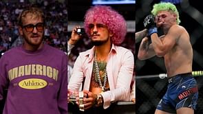 "Not a good way to become popular" - Sean O'Malley and Logan Paul discuss Kris Moutinho's overnight success following loss at UFC 264