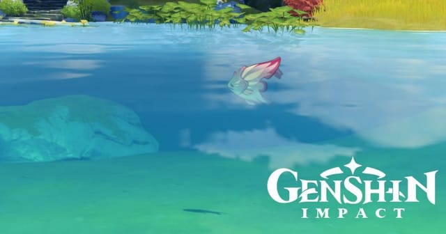 All Angelfish locations and respawn time in Genshin Impact