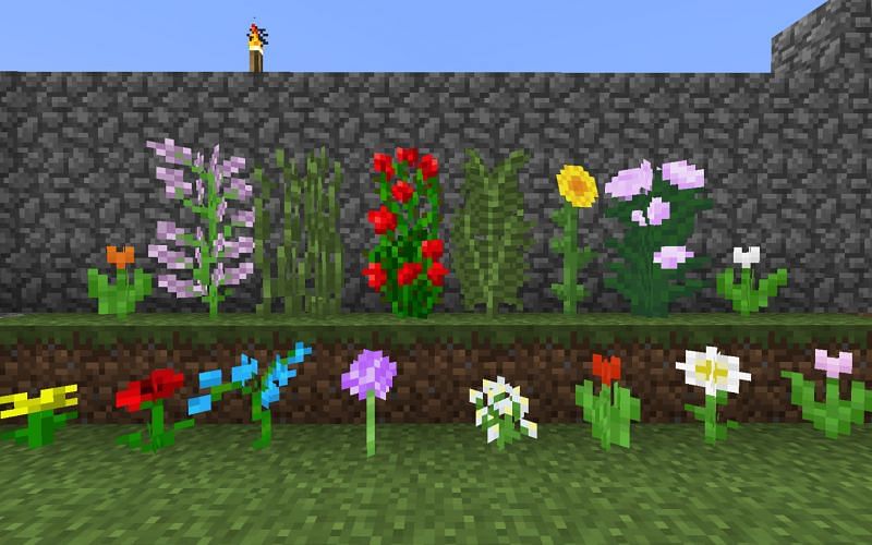 An image displaying every type of flower in Minecraft. Image via Minecraft.