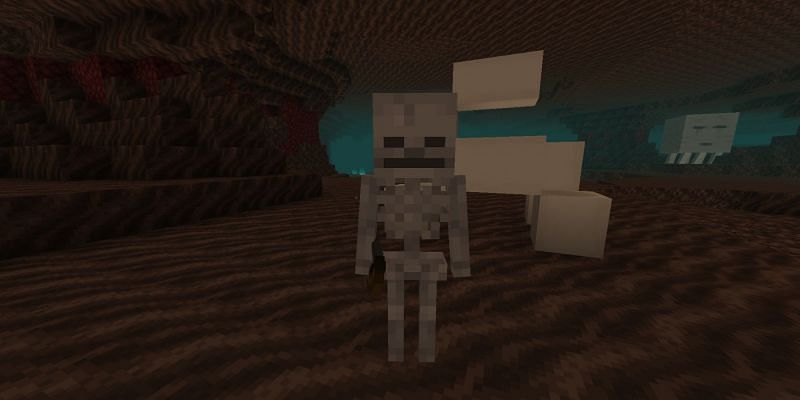 A skeleton in a soul sand valley (Image via The Gamer)