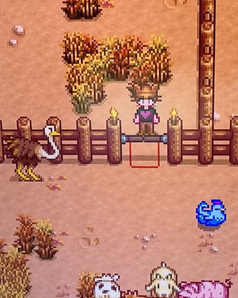 An Ostrich in Stardew Valley (Image via Tumbral)