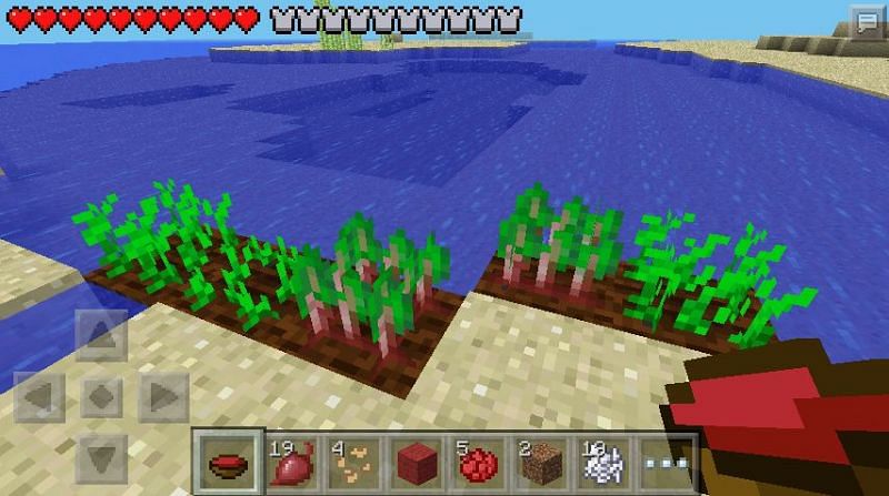 Beetroot can be used to craft beetroot soup, using six of them and a bowl (Image via Minecraft)