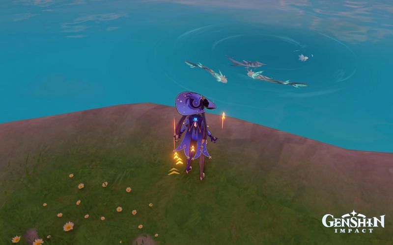 Rusty Koi can spawn in Cider Lake (Image via Genshin Impact)