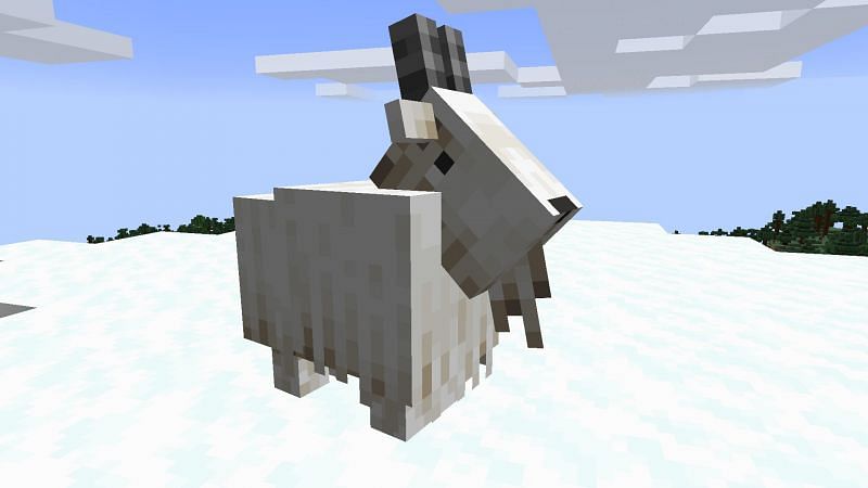 A goat in the game (Image via Minecraft)