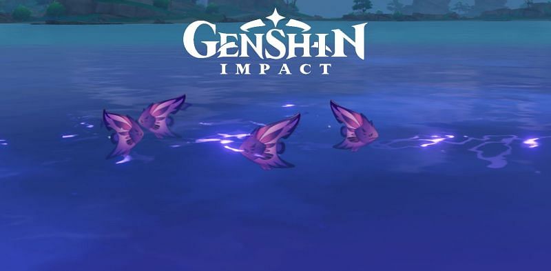 Raimei Angelfish are hard to find in Genshin Impact (Image via Genshin Impact)