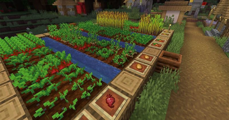 Water is extremely important in Minecraft. Without it, players will not be able to grow crops. (Image via Mojang)