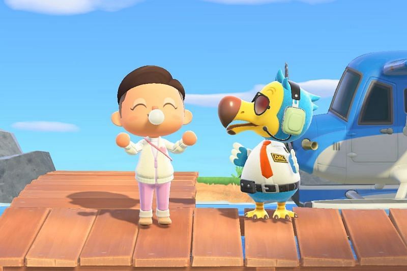 Dodo Airlines is run by Orville and Wilbur, two brothers and dodo birds (Image via Nintendo)