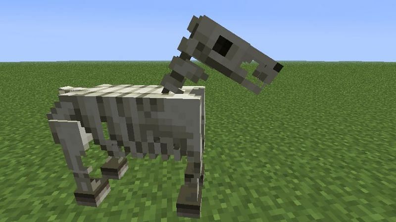 Rare skeleton horse (Image via Minecraft)