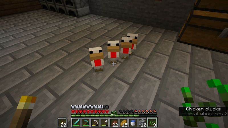 Four baby chickens from an egg (Image via Mojang)