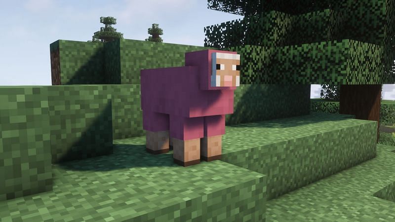 A pink sheep in the game (Image via Minecraft)