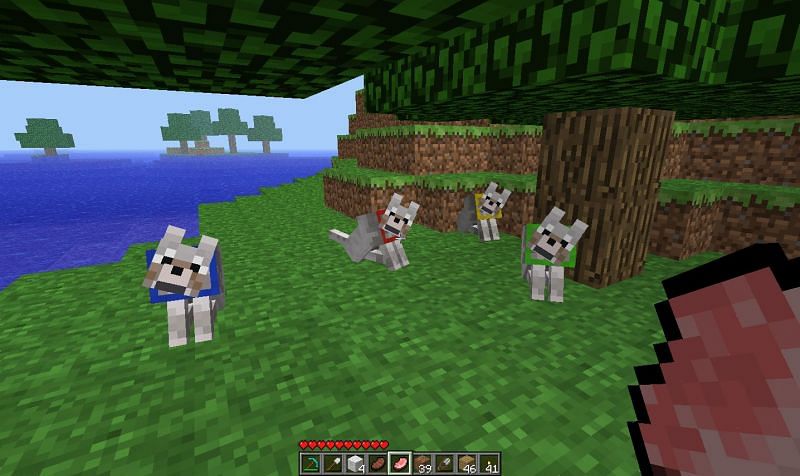Wolves (Image via Minecraft)