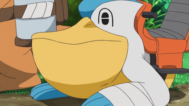 Pelipper in the anime (Image via The Pokemon Company)