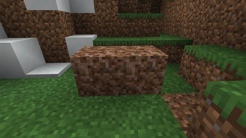 Rooted dirt blocks in the game (Image via Mojang)