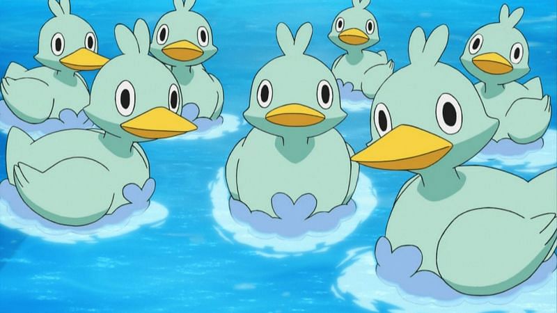 &quot;They are better at swimming than flying, and they happily eat their favorite food, peat moss, as they dive underwater.&quot; - An excerpt from Ducklett&#039;s Pokedex entry (Image via The Pokemon Company)
