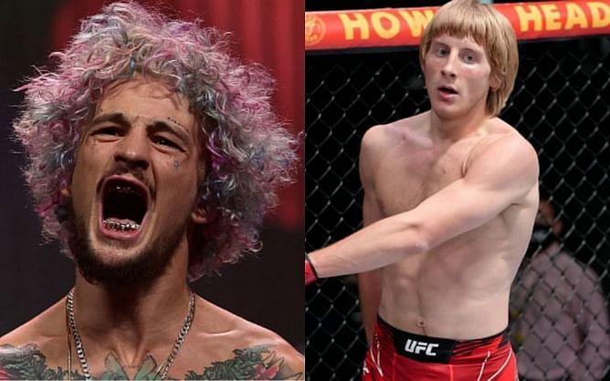 Sean O'Malley gives his thoughts on when a possible fight against Paddy Pimblett makes sense