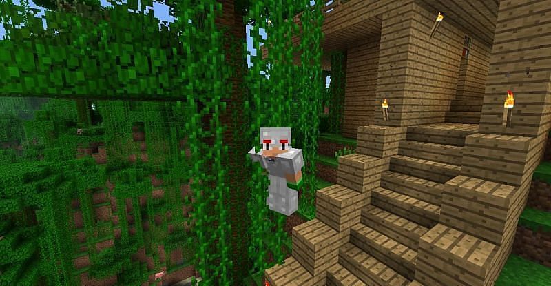 Vines can spawn in jungle biomes, swamps, and lush caves and can be obtained with shears (Image via Minecraft)