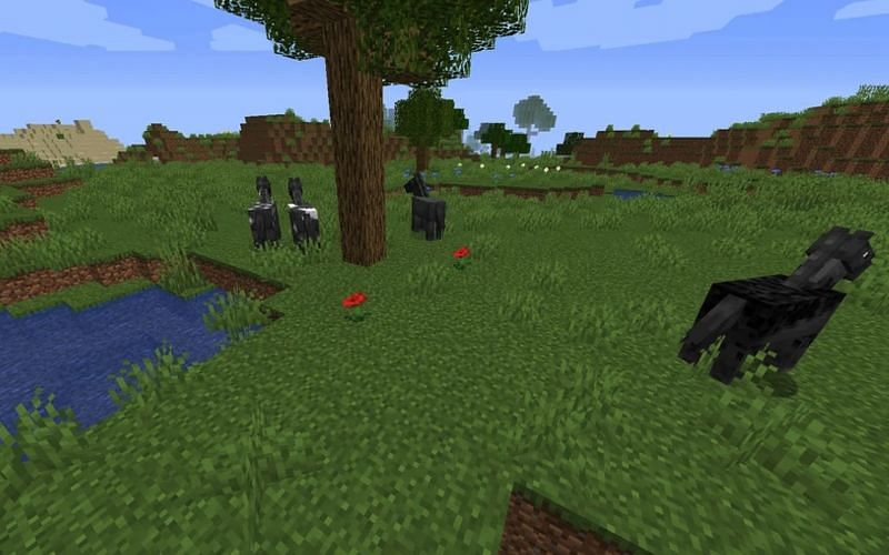 An image of a naturally spawned herd of Minecraft horses (Image via Minecraft)