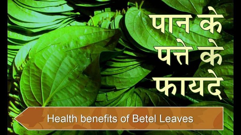 पान के पत्ते के फायदे (फोटो- healthdear)