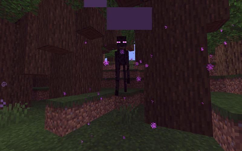 Enderman in a dark oak forest in Minecraft (Image via Minecraft)