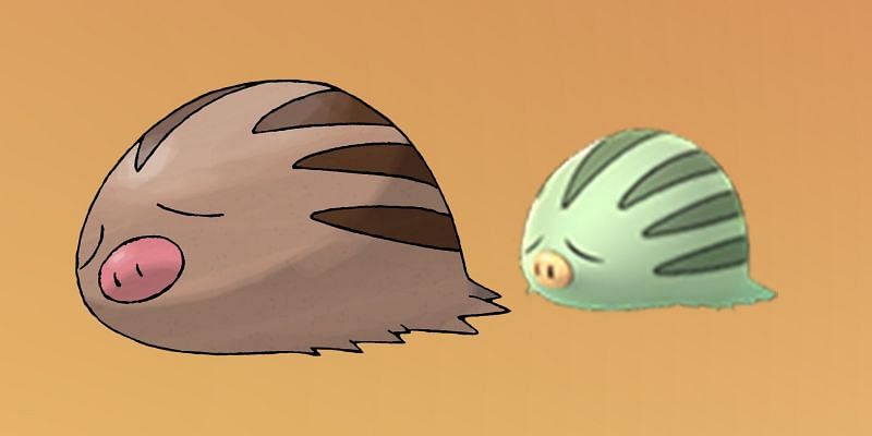 Swinub isn&#039;t particularly capable in battle as a Pokemon with two further evolutions (Image via Niantic)