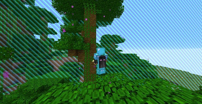 A world border marks the edge of a Minecraft dimension, and it can be altered based on player commands (Image via Mojang).