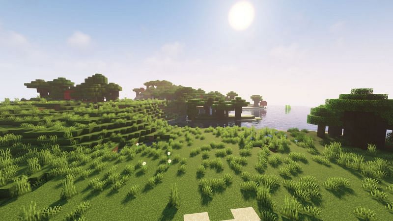 Plains and dark forest (Image via Minecraft)