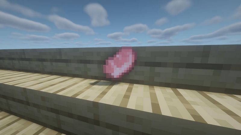 Raw porkchop (Image via Minecraft)