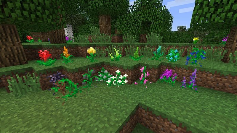 Some plants which the Botanica mod adds to Minecraft (Image via Botanica)
