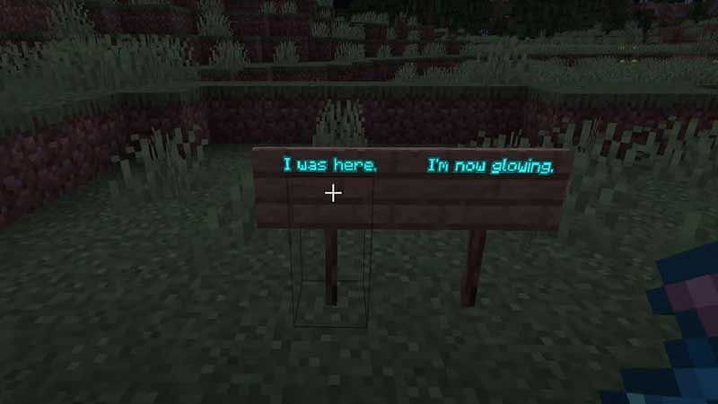 Glowing text on a sign (Image via Minecraft)
