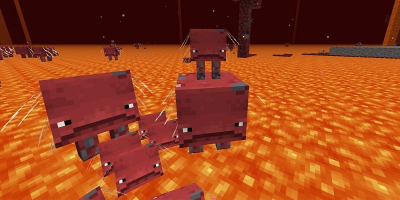 Striders (Image via Minecraft)