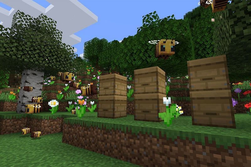 Honey farms can be made with either natural bee nests or crafted bee hives (Image via Mojang)