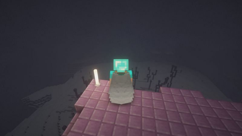 Player with an elytra (Image via Minecraft)