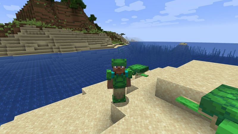 A turtle helmet, when equipped, gives two levels of protection and the water breathing effect. Image via Minecraft