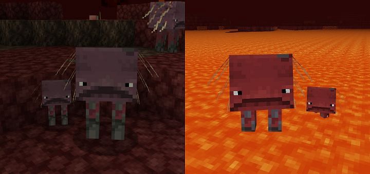 Comparing striders (Image via Minecraft)