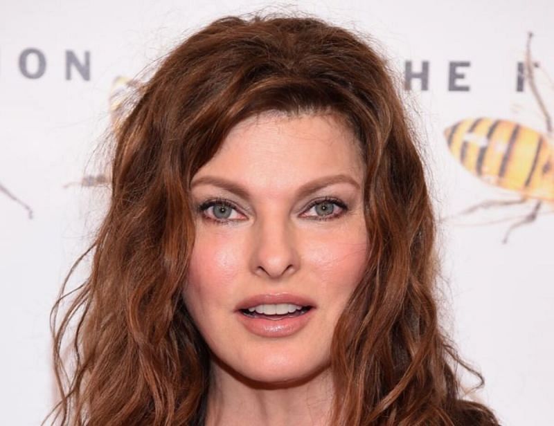 Supermodel Linda Evangelista opens up about failed fat reduction treatment (Image via Celebrity Net Worth)