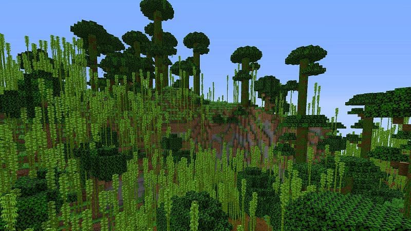 A view of one of Minecraft&#039;s bamboo forest biomes. (Image via Minecraft)