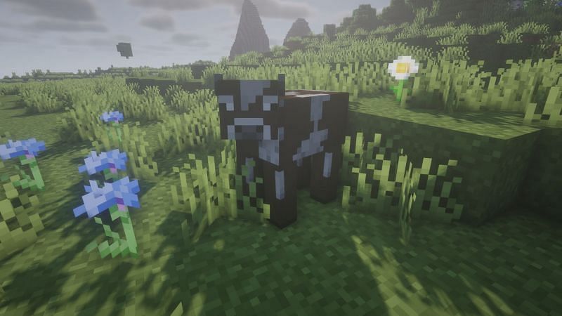 A cow in the game (Image via Minecraft)