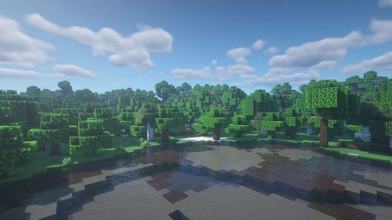 Crystal clear water in the BSL Shader (Image via Minecraft)