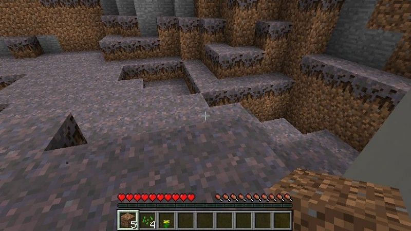 Mycelium blocks spread all over the biome (Image via Minecraft)