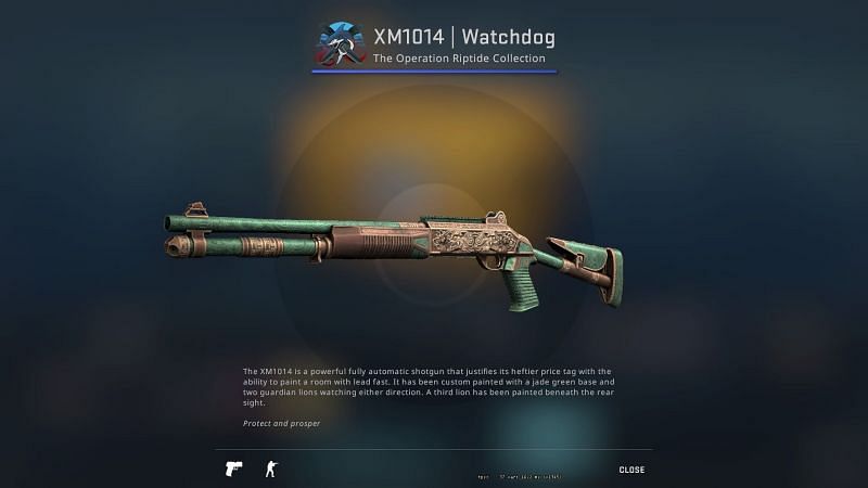 New XM1014 Skin in Riptide Case