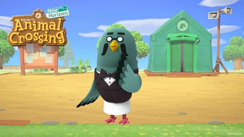 Nintendo announces the return of Brewster and the Roost (Image via Nintendo)