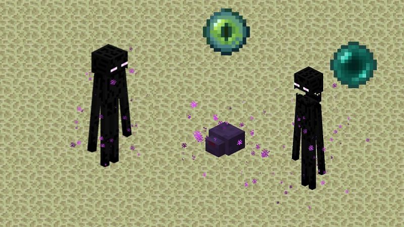 Endermites share an unusual relationship with Endermen, who can be seen attacking them on sight (Image via Mojang)