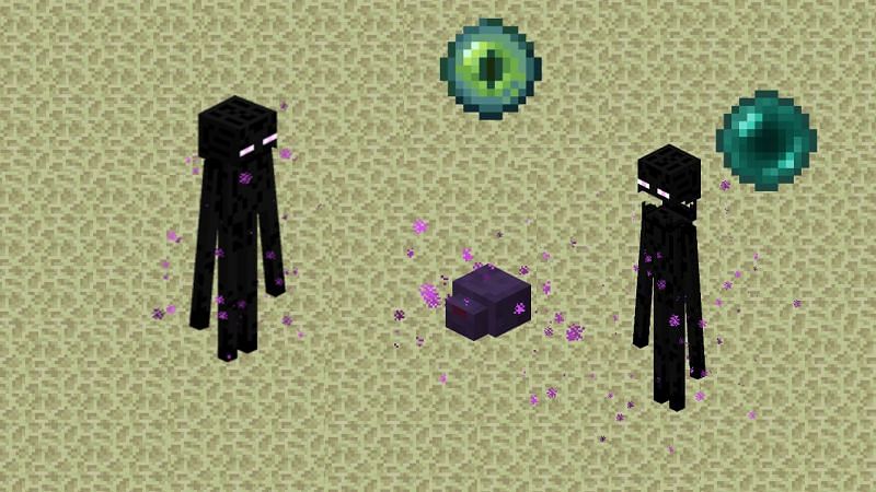 🟨 EVERYTHING ABOUT ENDERMITE / What does and where to find