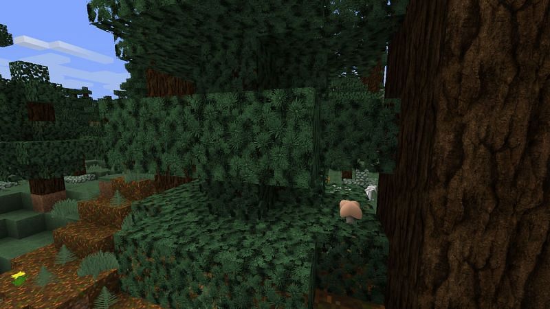 Highly-detailed textures of tree and leaves (Image via Minecraft)