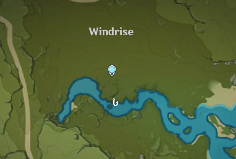 Medaka location in Windrise (Image via Genshin Impact)