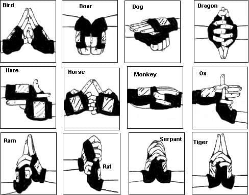 Hand seals in Naruto (Image via Fandomwiki)