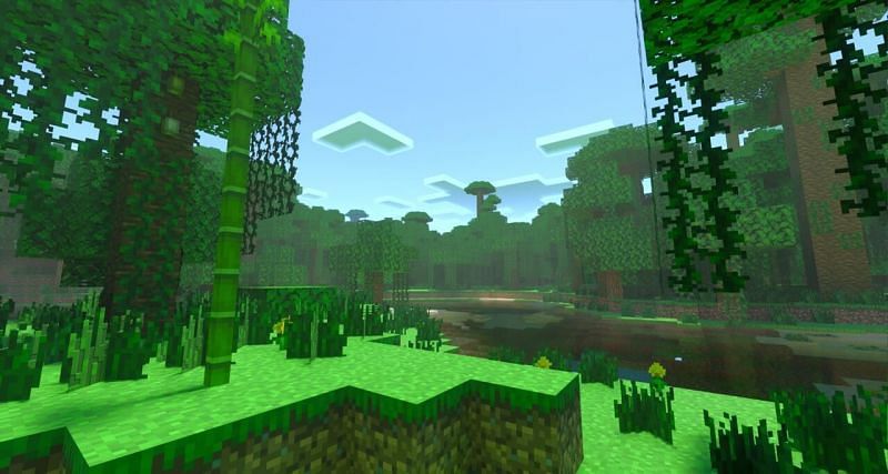 Jungle biome (Image via Minecraft)