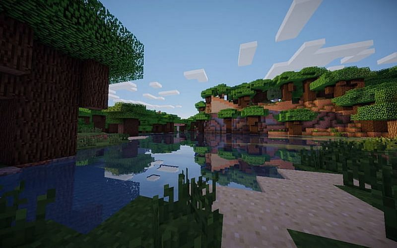 An image of a dark oak forest biome in Minecraft. Image via Minecraft.