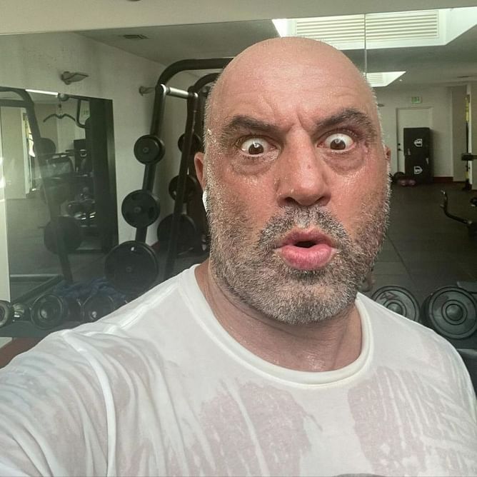"This is the grand conspiracy" - Joe Rogan issues a scathing indictment of pharmaceutical companies