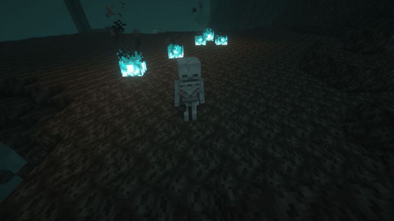 A skeleton in a soul sand valley (Image via Minecraft)